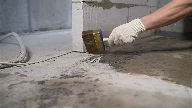 Top rated local Crawl Space Encapsulation specialists in Bristol, VA